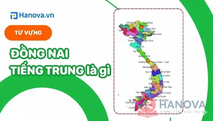 dong-nai-tieng-trung-la-gi